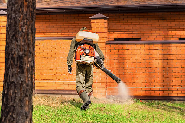 Trusted Termite Control service in De Soto, KS - Nex Pest Control